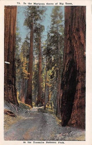 Пощенска картичка с национален парк Йосемити, Калифорния